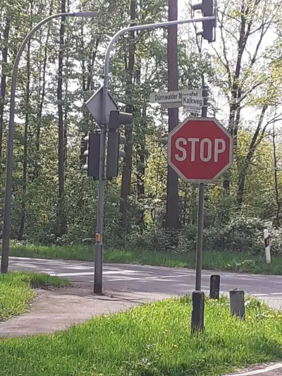Glückspilz