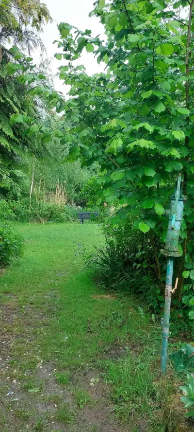 Stellplatz, Grundstück Freizeitgarten – Bild 2