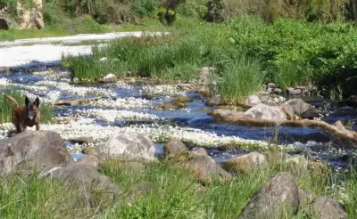 Finca Aufenthalt in Andalusien – Bild 2