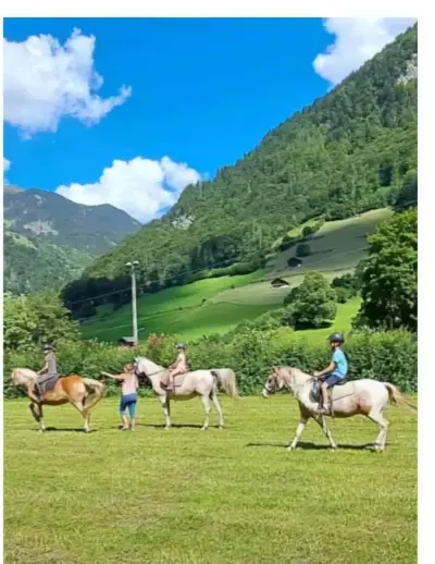 Bauernhof in den Schweizer Bergen – Bild 5
