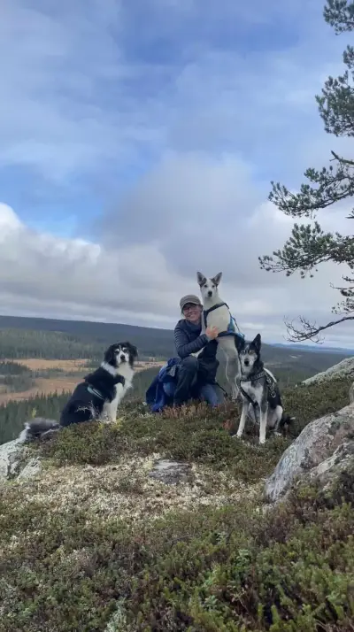 Hilfe in Schwedisch Lappland 2026 – Bild 6