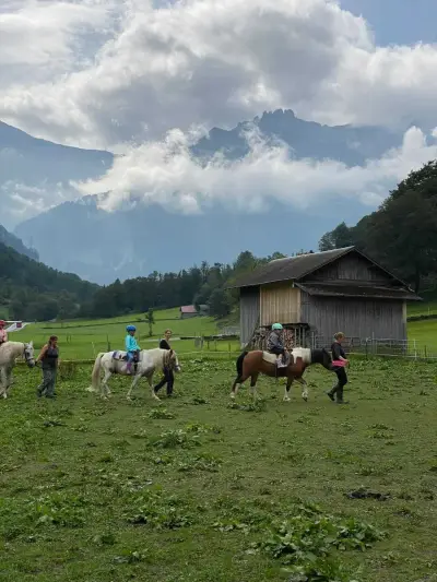 Bauernhof in den Schweizer Bergen – Bild 3