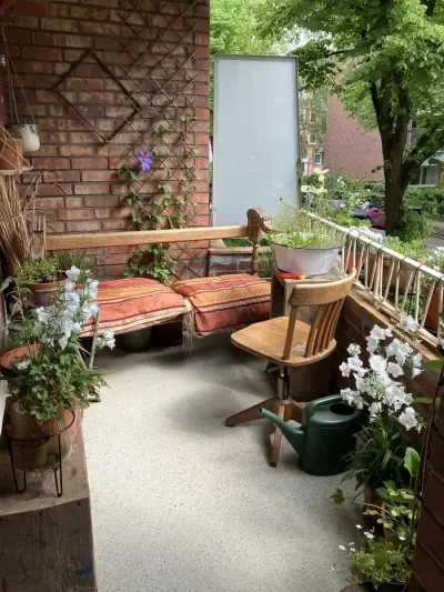 Sommer im schönen Hamburg - mit Kater und sonnigem Balkon – Bild 3