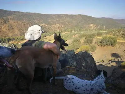 Finca Aufenthalt in Andalusien – Bild 4