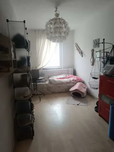 3 Zimmer Wohnung an der Ostsee – Bild 3