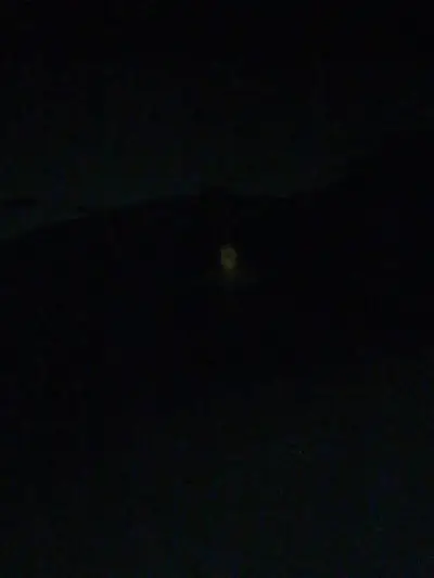 Ben