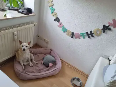 Wohnung in Leipzig – Bild 2