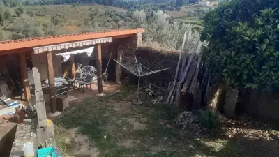 Be part of my project in Central Portugal: House and Garden – Bild 3
