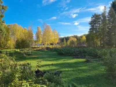 Reisebegleitung nach Schweden – Bild 2