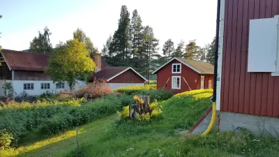 Reisebegleitung nach Schweden – Bild 3