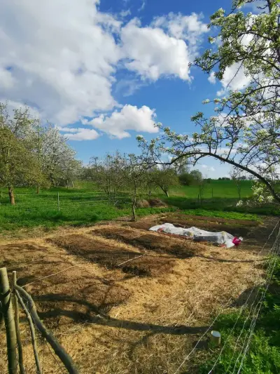Nachhaltiges Hof-Projekt mit großem Naturgarten – Bild 4