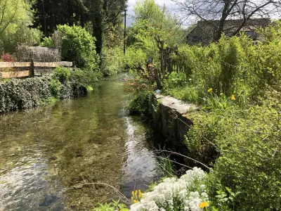 Mühlhaus am Bach mit freundlichem Hund – Bild 5