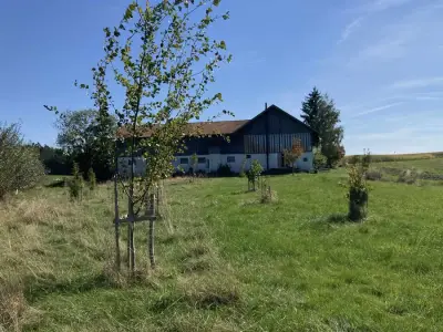Alter Bauernhof mit Katzen, Schafen und Hühnern – Bild 6