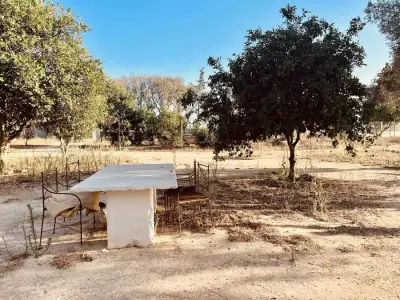 Finca in Andalusien Costa de la Luz – Bild 6