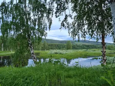 Reisebegleitung nach Schweden – Bild 6