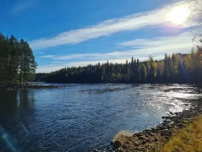 Reisebegleitung nach Schweden – Bild 5