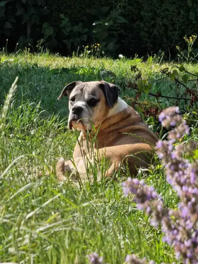 JULY – Bild 3