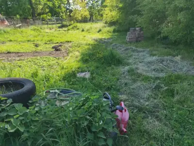 Alter Hof mit Garten bei Arendsee – Bild 3