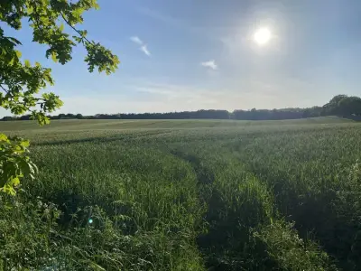 Landschaftlicher Betrieb in Ost Holstein – Bild 2
