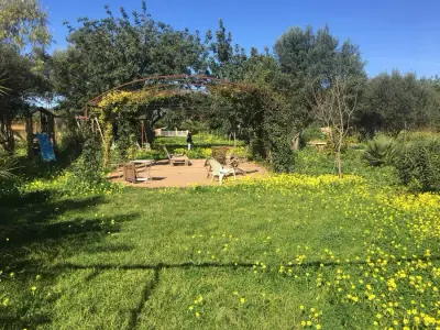 Casa Caracol - Llucmajor – Bild 4