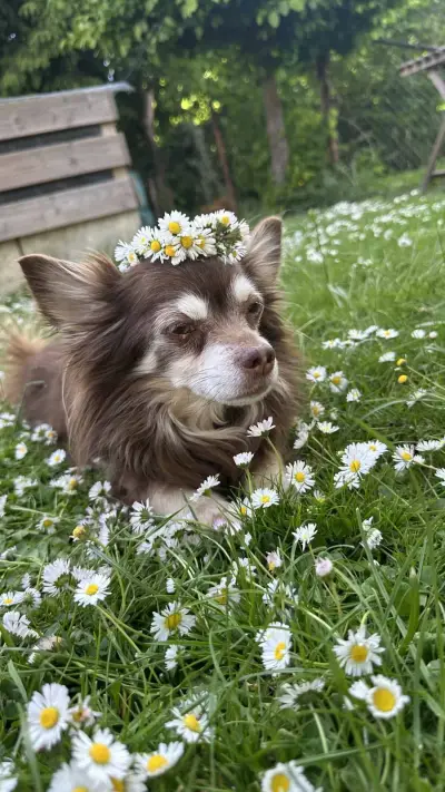 Stella – Bild 4