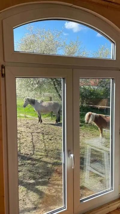 Pony-Betreuung und Urlaub im Bauwagen – Bild 4