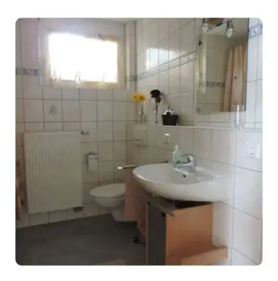 Unterstützung beim Tiny House – Bild 3