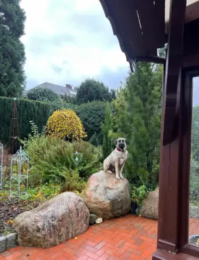 Urlaub gegen Hand in Minden - Garten & Hund, Natur & Ruhe – Bild 2