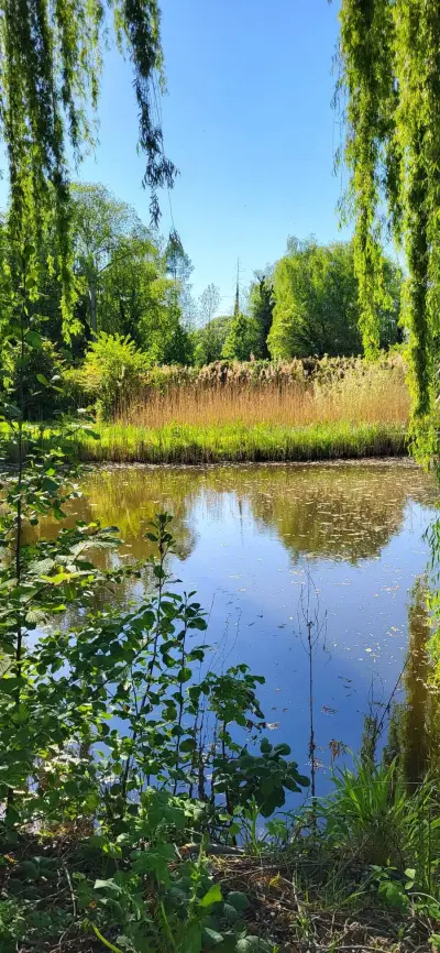 Hilf mit und wohne kostelos im Grünen – Bild 5
