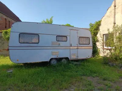Sanierung eines Herrenhauses/ Gartenarbeit (Altmark) – Bild 5