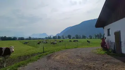 Bauernhof in der Idylle – Bild 2