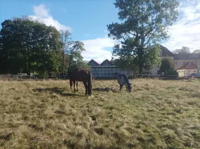 Wohnung in Industriedenkmal neben Campingplatz – Bild 4