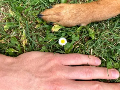 Cosmo – Bild 2