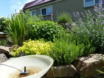 Naturgarten-Oase – Bild 2