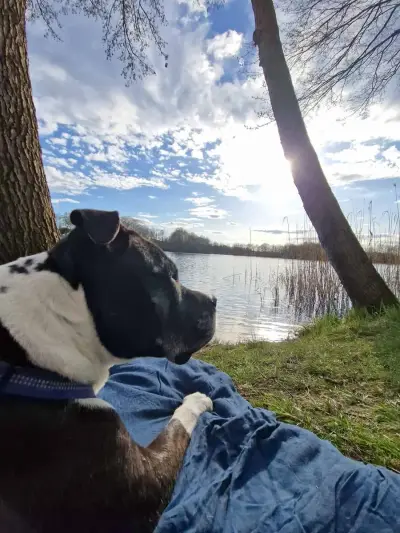 Kessy – Bild 6