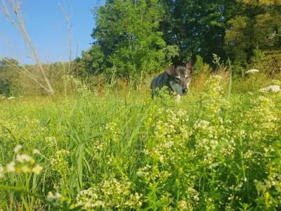 Franziska – Bild 3