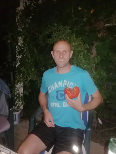Davorin