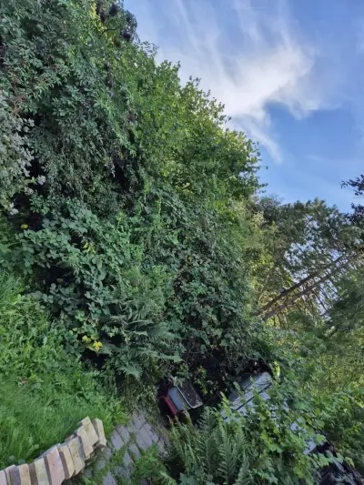 Urlaub gegen GARTEN HELFER – Bild 4