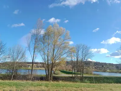 Haus am See (privater Badeteich) - Südsteiermark – Bild 2