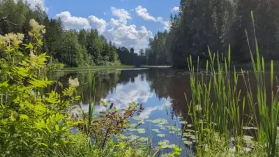 Natur, Wald, Meer an einem Ort – Bild 4