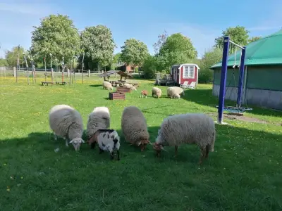 Vielseitiger Hof in 23845 Wakendorf I – Bild 3