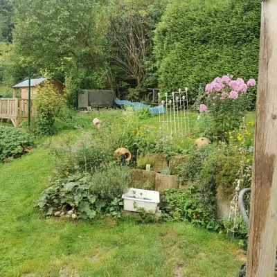 Urlaub am Hennesee gegen Hilfe bei Haus und Garten" – Bild 2