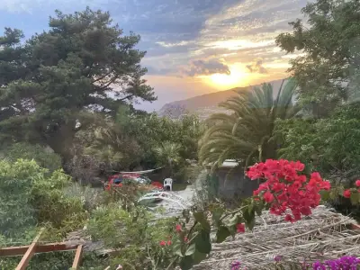 FeWo auf La Palma gegen Mithilfe – Bild 2