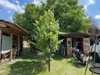 60km südlich von Berlin - Handwerk,Tai-Chi und Qi Gong – Bild 4