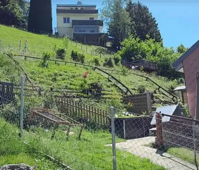 Meerschweinchen-Gnadenhof braucht Unterstützung – Bild 2
