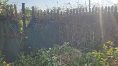Leipzig - Hilfe im Schrebergarten gegen Stadtwohnung – Bild 6