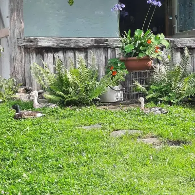 Christiana – photo 5