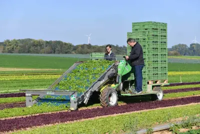 landwirtschaftlicher Betrieb in Kandel – Bild 5