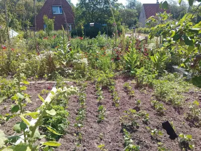 Kleines Haus mit Garten – Bild 2