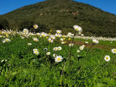 Sardinien, Stellplatz auf eco Farm mit gemeinnützigem Camp – Bild 3